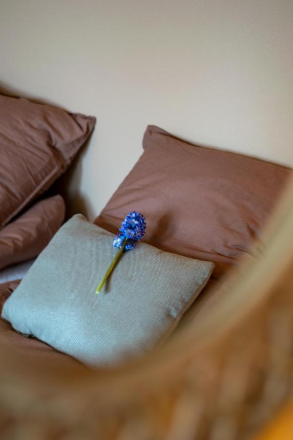 Mosters Bed & Breakfast Guldborg Εξωτερικό φωτογραφία